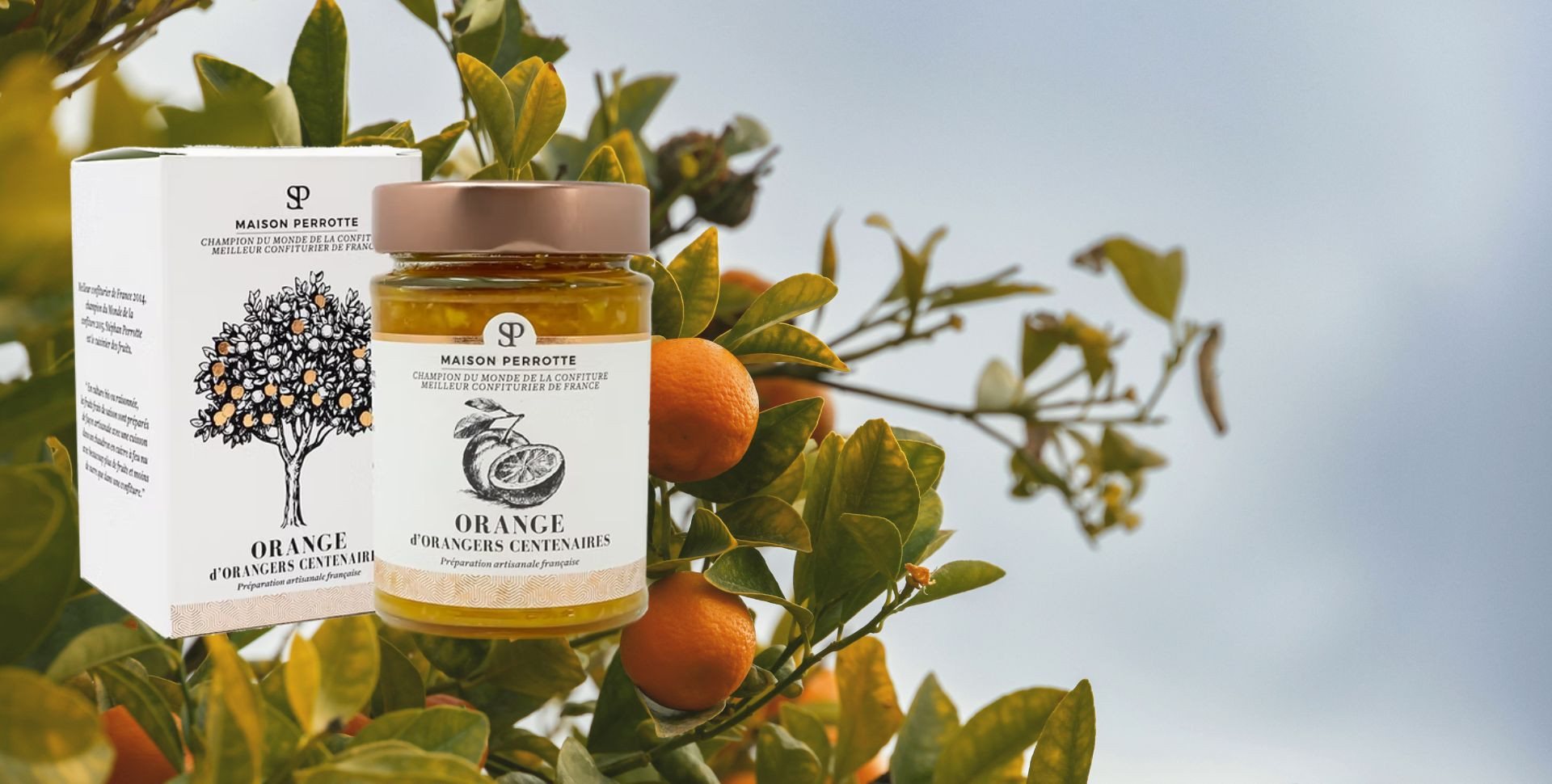 Orange d'orangers centenaires